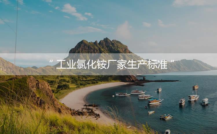 工業(yè)氯化銨廠家生產(chǎn)標(biāo)準(zhǔn)，生產(chǎn)過(guò)程進(jìn)行嚴(yán)密的監(jiān)控！